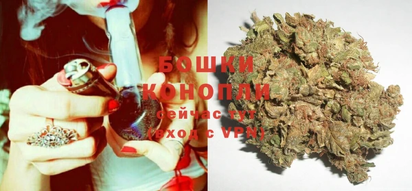 крисы Тайга